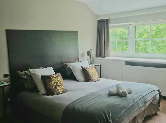 Manoir Du Bois Des Reves بيت ضيافة 3*